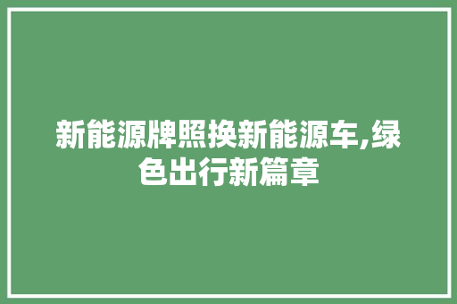 新能源牌照换新能源车,绿色出行新篇章