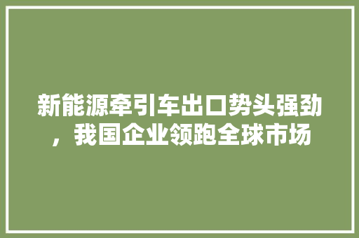新能源牵引车出口势头强劲，我国企业领跑全球市场