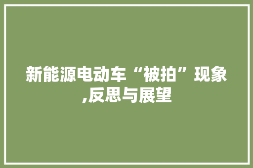 新能源电动车“被拍”现象,反思与展望 新能源汽车