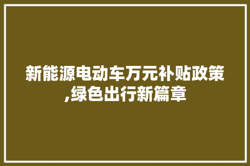 新能源电动车万元补贴政策,绿色出行新篇章 汽车配件