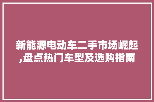 新能源电动车二手市场崛起,盘点热门车型及选购指南