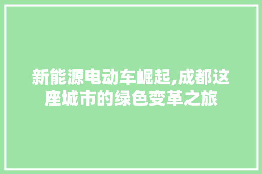 新能源电动车崛起,成都这座城市的绿色变革之旅