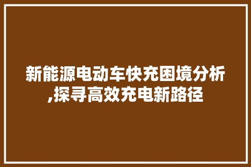 新能源电动车快充困境分析,探寻高效充电新路径