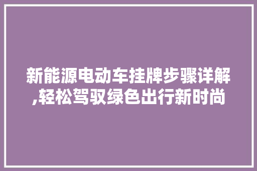 新能源电动车挂牌步骤详解,轻松驾驭绿色出行新时尚