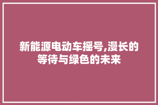 新能源电动车摇号,漫长的等待与绿色的未来