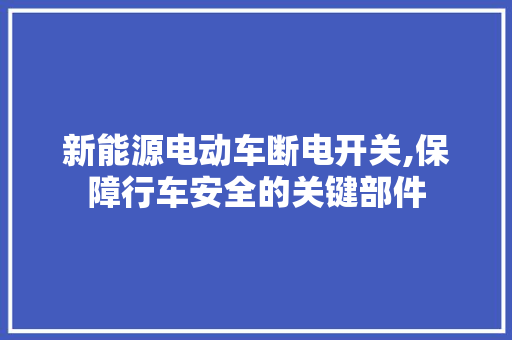 新能源电动车断电开关,保障行车安全的关键部件 新款车型