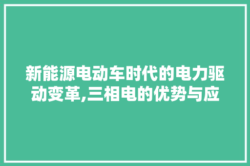 新能源电动车时代的电力驱动变革,三相电的优势与应用