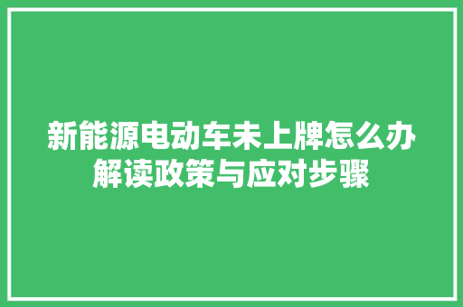 新能源电动车未上牌怎么办解读政策与应对步骤