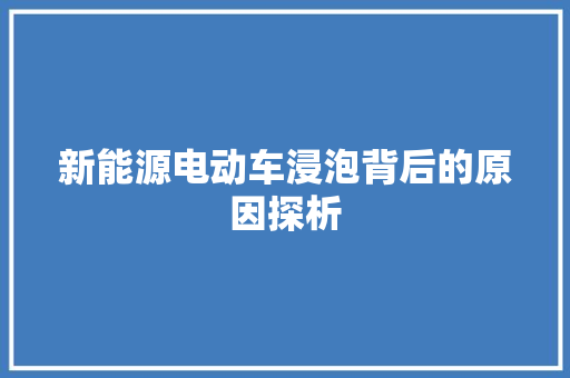 新能源电动车浸泡背后的原因探析