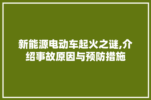 新能源电动车起火之谜,介绍事故原因与预防措施
