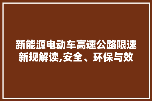 新能源电动车高速公路限速新规解读,安全、环保与效率的平衡 蓄电池配件