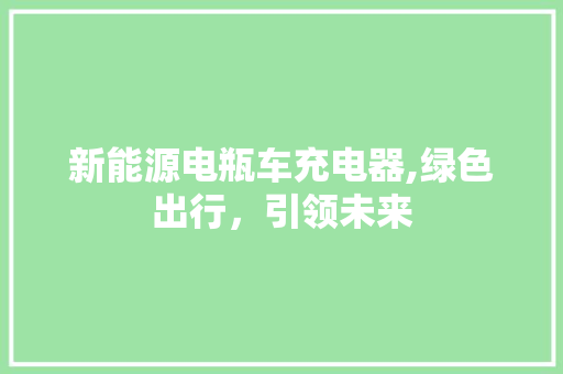 新能源电瓶车充电器,绿色出行，引领未来 新能源汽车
