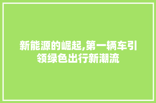新能源的崛起,第一辆车引领绿色出行新潮流