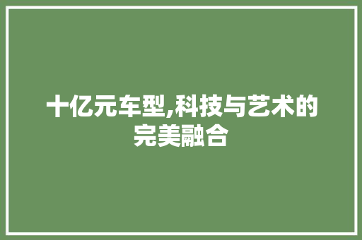 十亿元车型,科技与艺术的完美融合