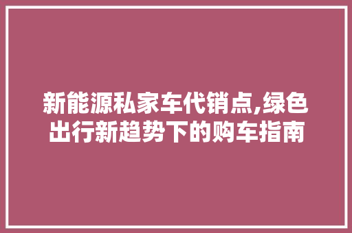新能源私家车代销点,绿色出行新趋势下的购车指南
