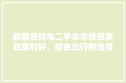 新能源纯电二手车市场迎来政策利好，绿色出行新选择