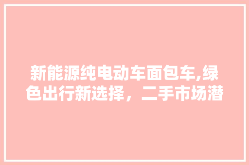 新能源纯电动车面包车,绿色出行新选择，二手市场潜力无限
