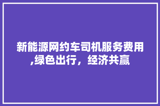 新能源网约车司机服务费用,绿色出行，经济共赢 汽车配件