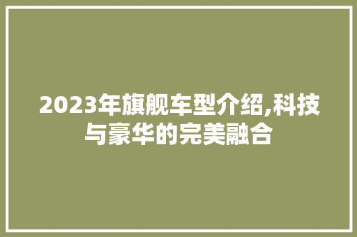 2023年旗舰车型介绍,科技与豪华的完美融合