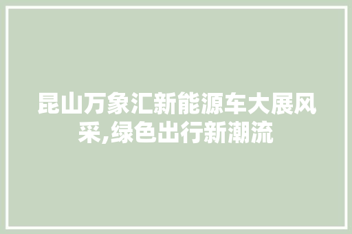 昆山万象汇新能源车大展风采,绿色出行新潮流