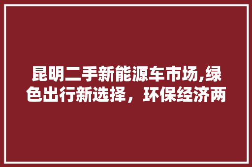 昆明二手新能源车市场,绿色出行新选择，环保经济两不误