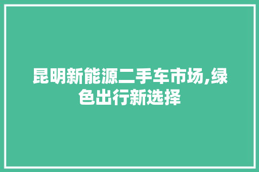 昆明新能源二手车市场,绿色出行新选择