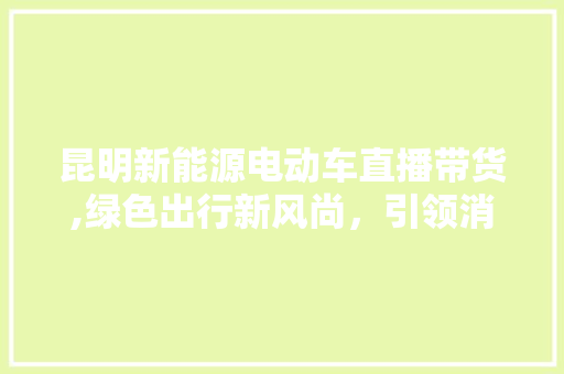 昆明新能源电动车直播带货,绿色出行新风尚，引领消费新潮流