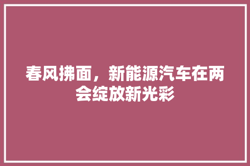 春风拂面，新能源汽车在两会绽放新光彩
