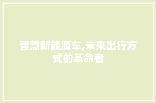 智慧新能源车,未来出行方式的革命者