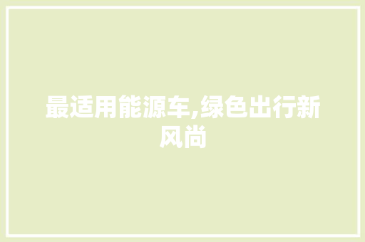最适用能源车,绿色出行新风尚