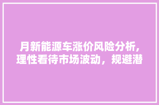 月新能源车涨价风险分析,理性看待市场波动，规避潜在风险