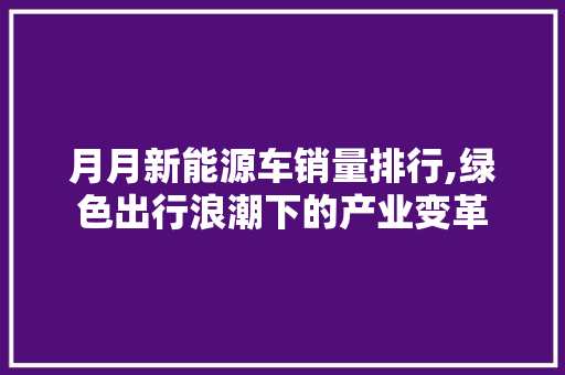 月月新能源车销量排行,绿色出行浪潮下的产业变革