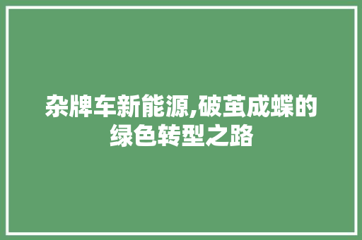 杂牌车新能源,破茧成蝶的绿色转型之路