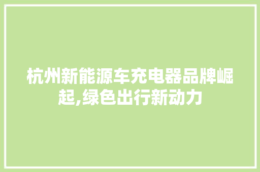 杭州新能源车充电器品牌崛起,绿色出行新动力