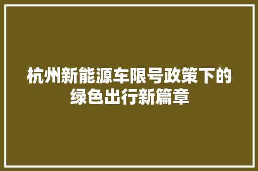 杭州新能源车限号政策下的绿色出行新篇章 新款车型