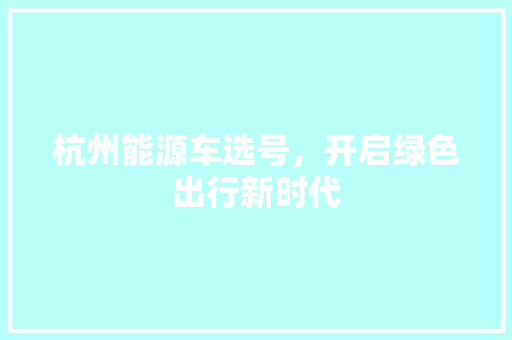 杭州能源车选号，开启绿色出行新时代