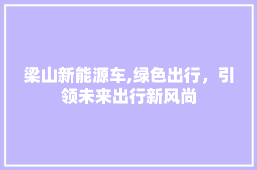 梁山新能源车,绿色出行，引领未来出行新风尚