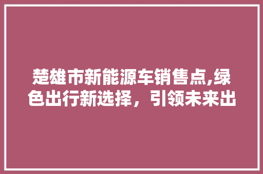 楚雄市新能源车销售点,绿色出行新选择，引领未来出行潮流