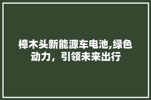 樟木头新能源车电池,绿色动力，引领未来出行