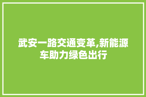 武安一路交通变革,新能源车助力绿色出行
