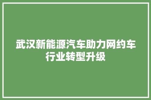 武汉新能源汽车助力网约车行业转型升级