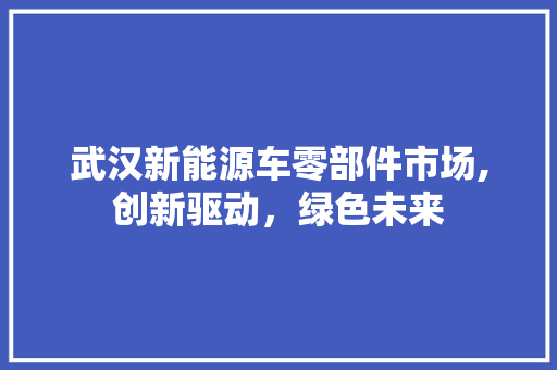 武汉新能源车零部件市场,创新驱动，绿色未来