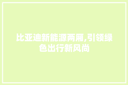 比亚迪新能源两厢,引领绿色出行新风尚