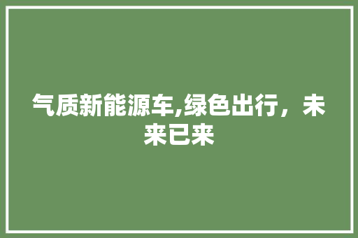 气质新能源车,绿色出行，未来已来
