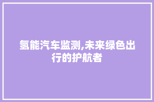 氢能汽车监测,未来绿色出行的护航者
