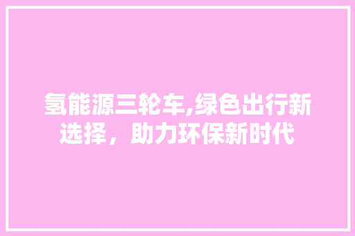 氢能源三轮车,绿色出行新选择，助力环保新时代
