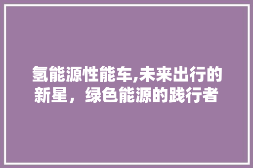 氢能源性能车,未来出行的新星，绿色能源的践行者