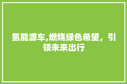 氢能源车,燃烧绿色希望，引领未来出行