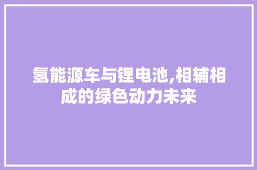 氢能源车与锂电池,相辅相成的绿色动力未来