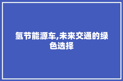 氢节能源车,未来交通的绿色选择
